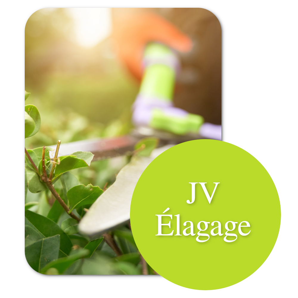 élagage