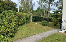 Taille de haie à Rivière