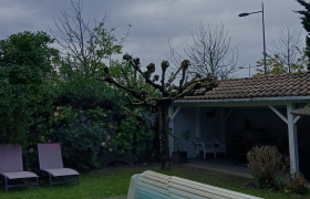 Élaguer un arbre