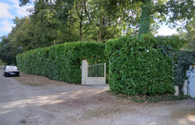 taille de haie Angoumé