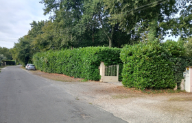 taille de haie à Angoumé